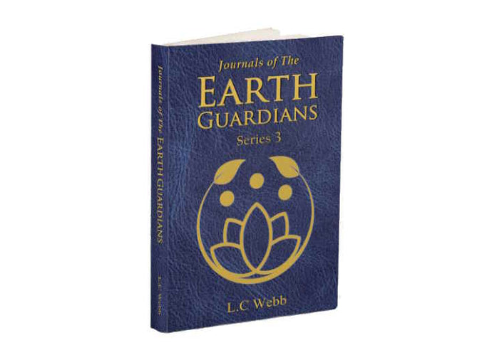 Journals of the Earth Guardians - Series 3 - The Knights Corner Publishing - Supply room